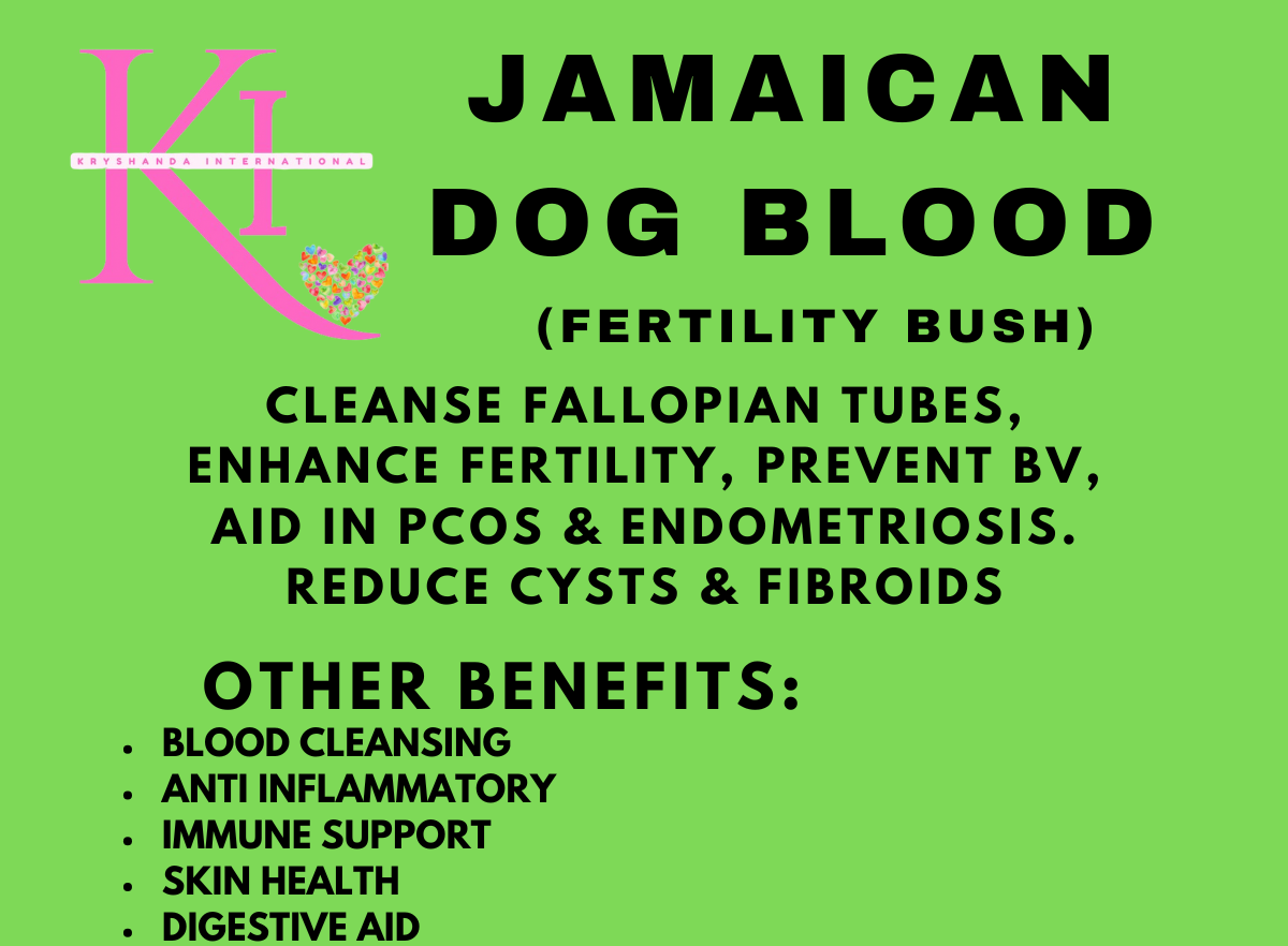 JAMAICAN DOG BLOOD BUSH