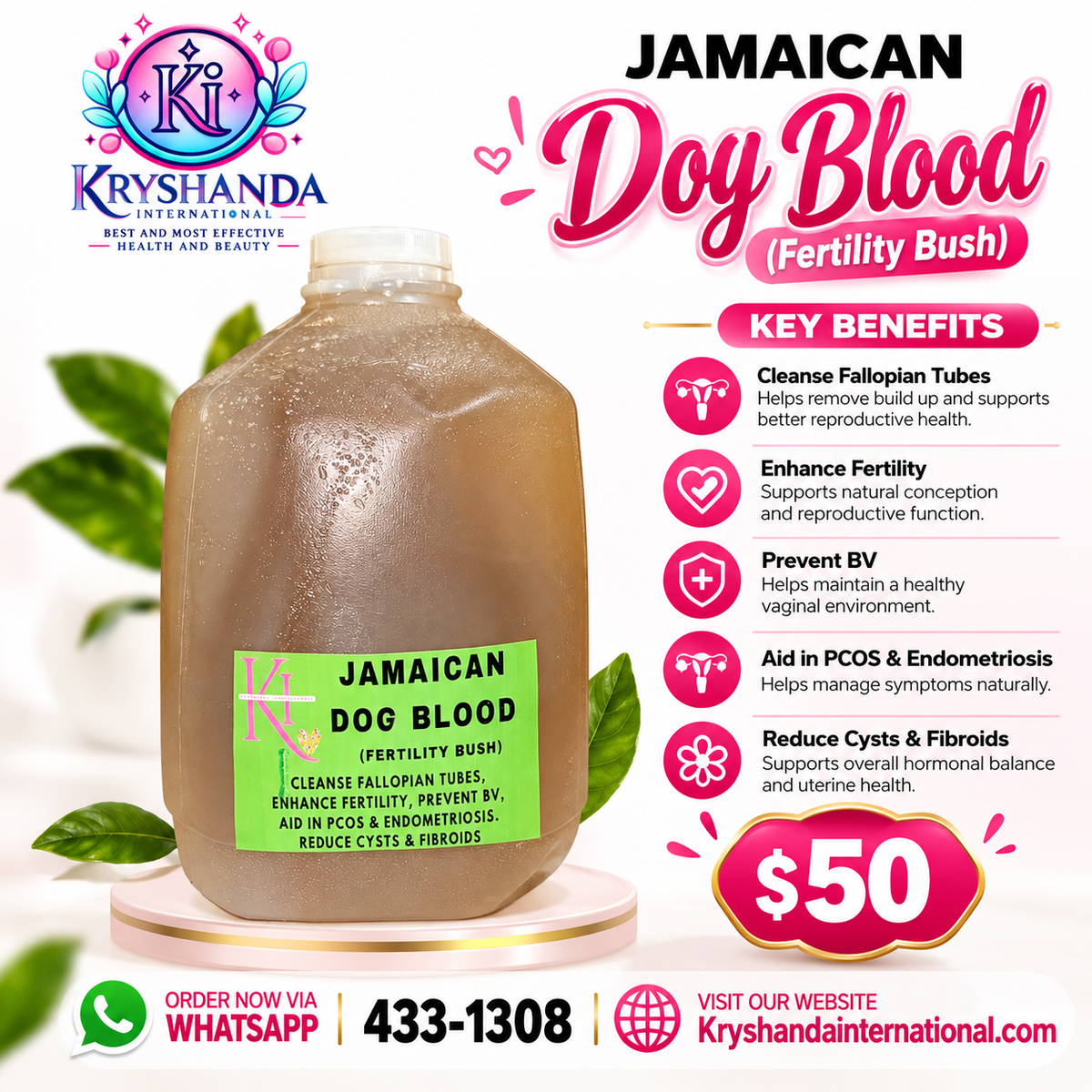 JAMAICAN DOG BLOOD BUSH